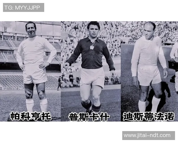 喜欢足球的六号球星是谁 探索足球场上最具魅力的中场指挥官